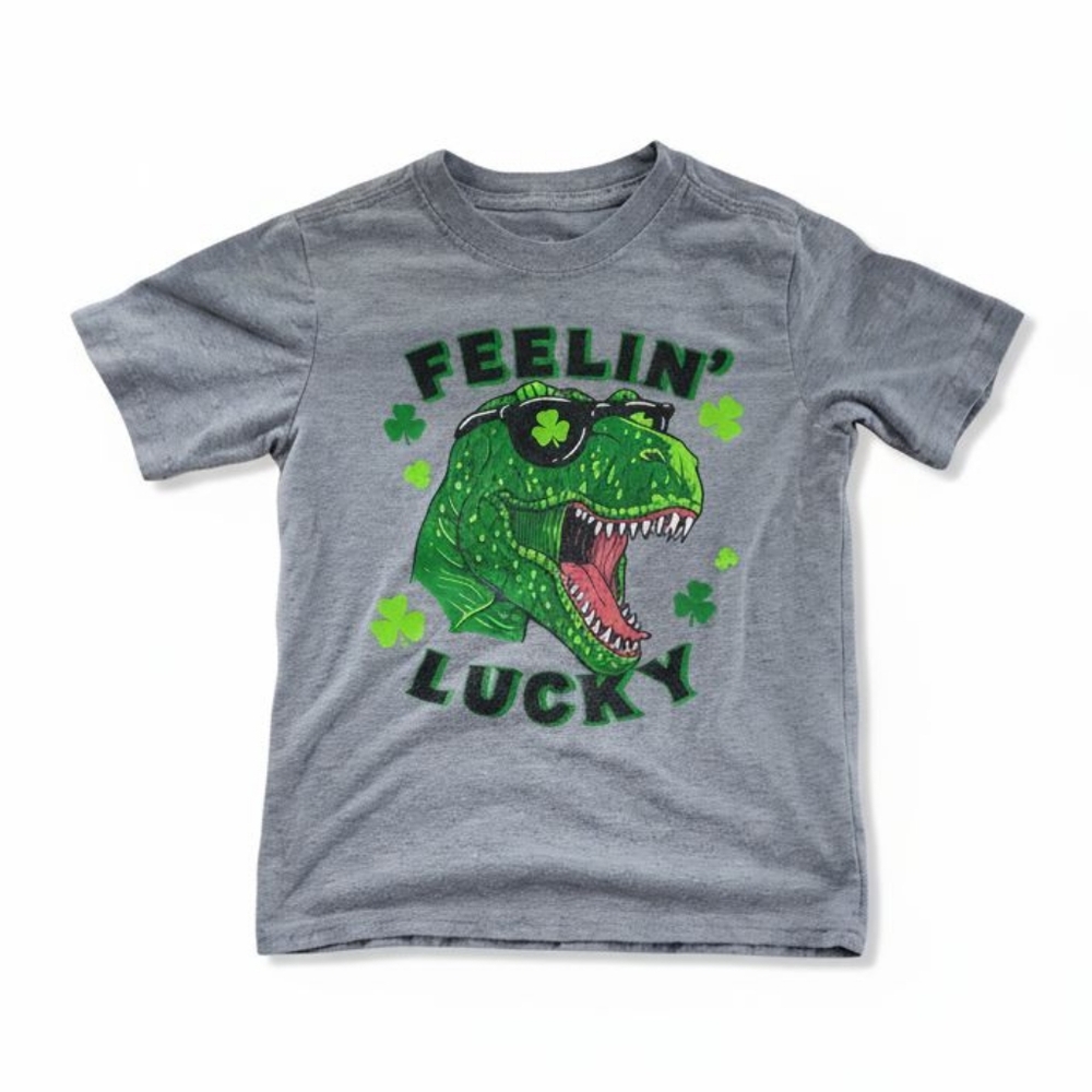 Gray Dinosaur Graphic Kids T-Shirt